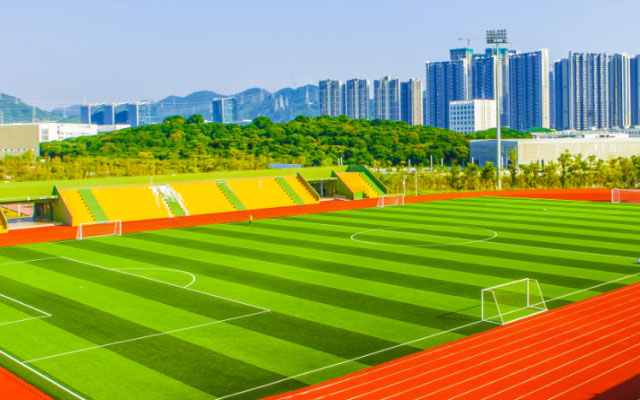 畢業季，重溫在深大的那份炙熱 | 畢業圖鑒之運動系列